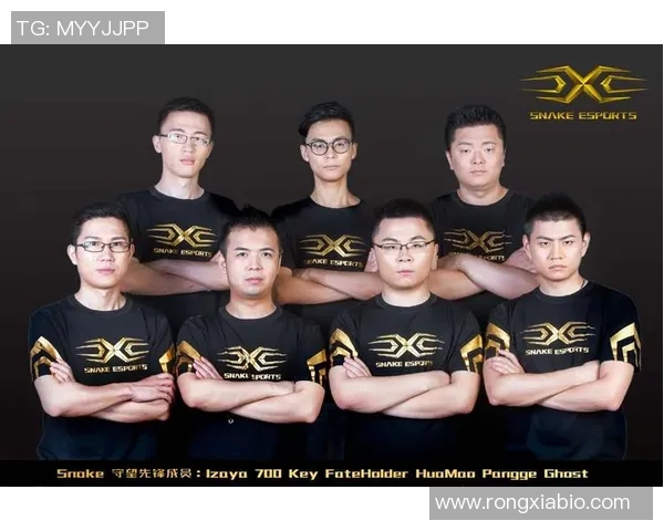 nsl2017比赛-激烈较量之战NSL 2017比赛的佼佼者之道-nsl2017比赛